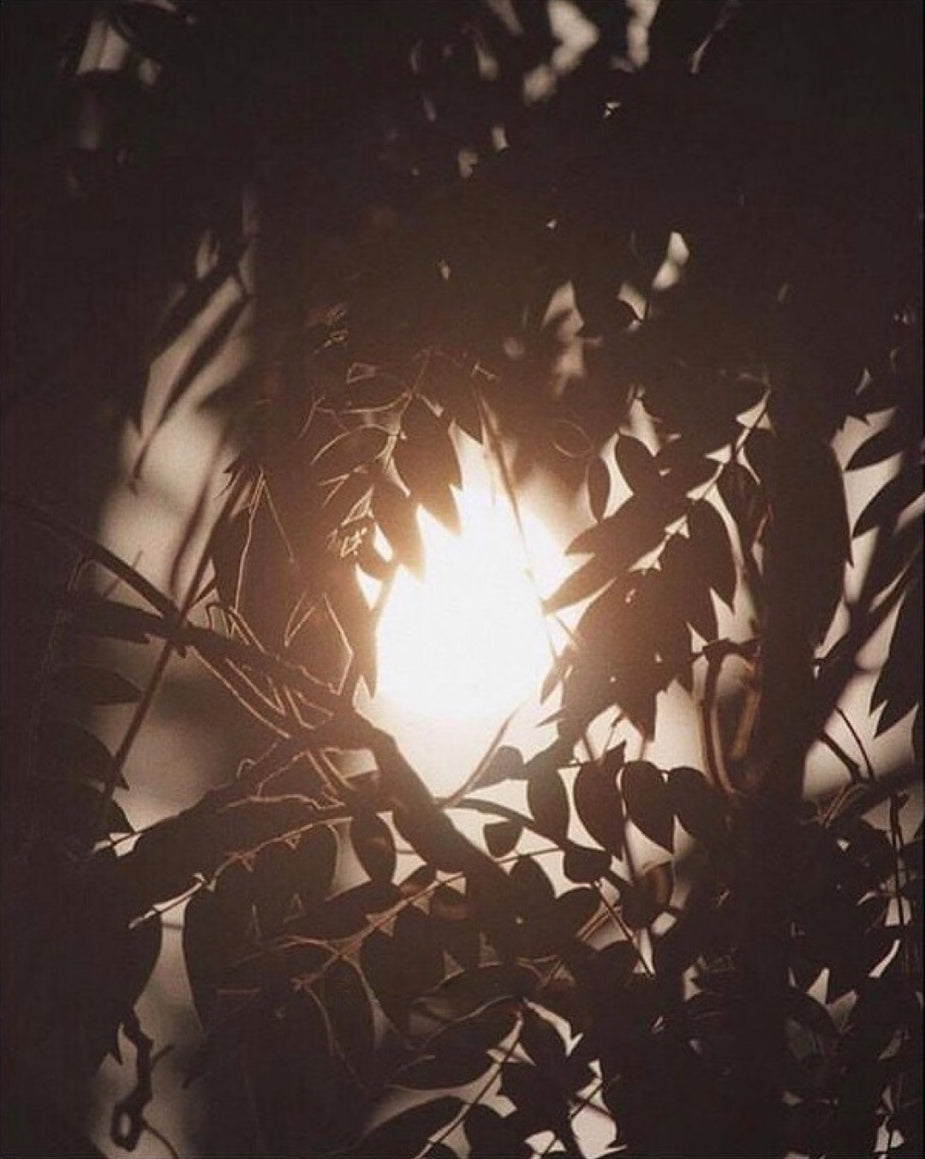 Winter Sun Love the world today